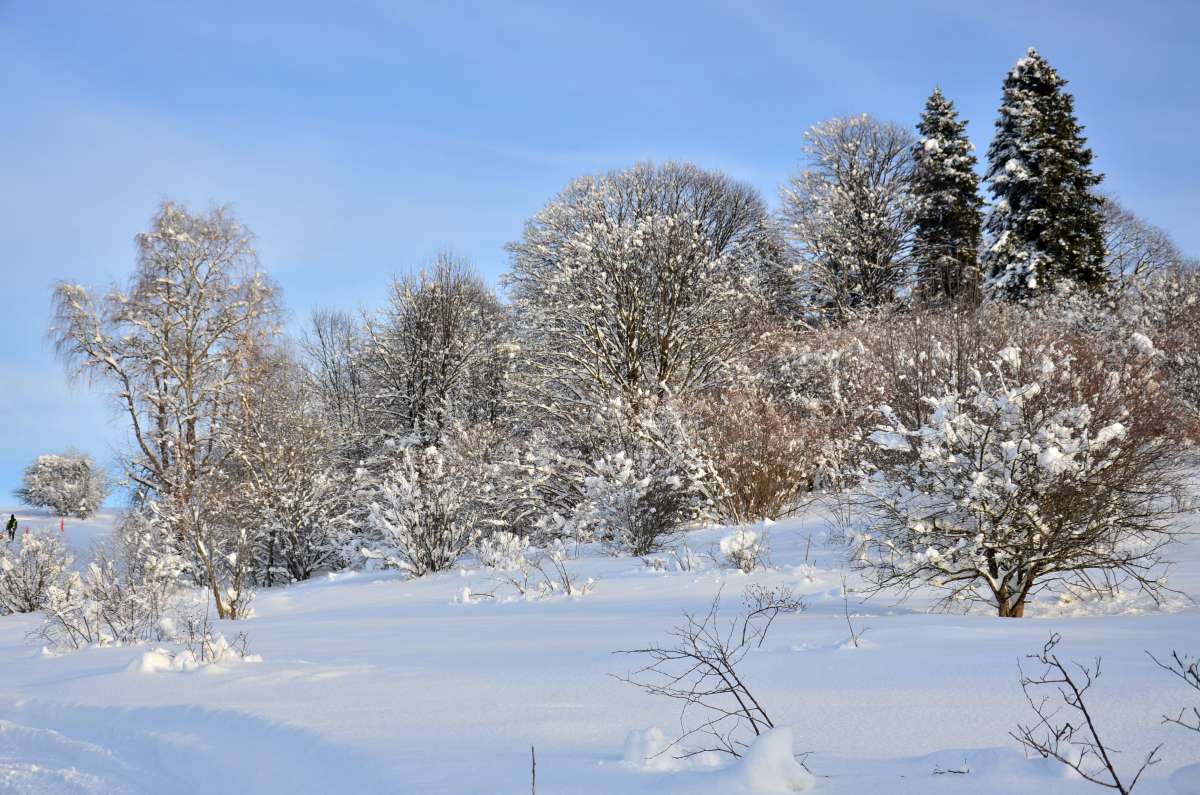 ... ����� ����  �� PhotoGeek.ru #������ ��� �������