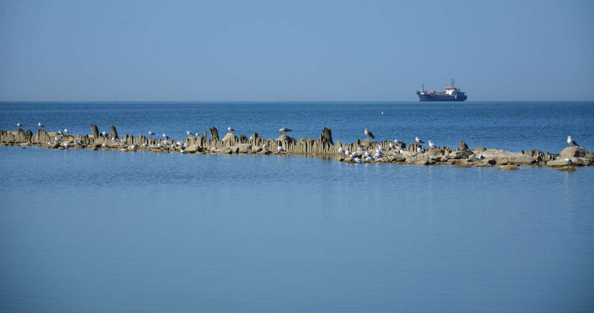 ��������� ����� ����  �� PhotoGeek.ru #������ ��� �������