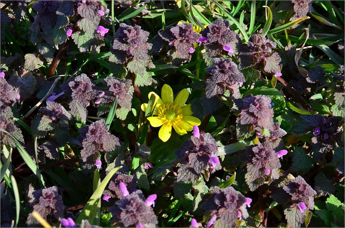 ���� � ������ ����� ����  �� PhotoGeek.ru #������ ��� ������� #����� �������������� #���������