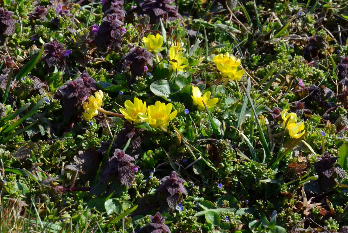 �����!!! ����� ����  �� PhotoGeek.ru #������ ��� ������� #����� �������������� #���������