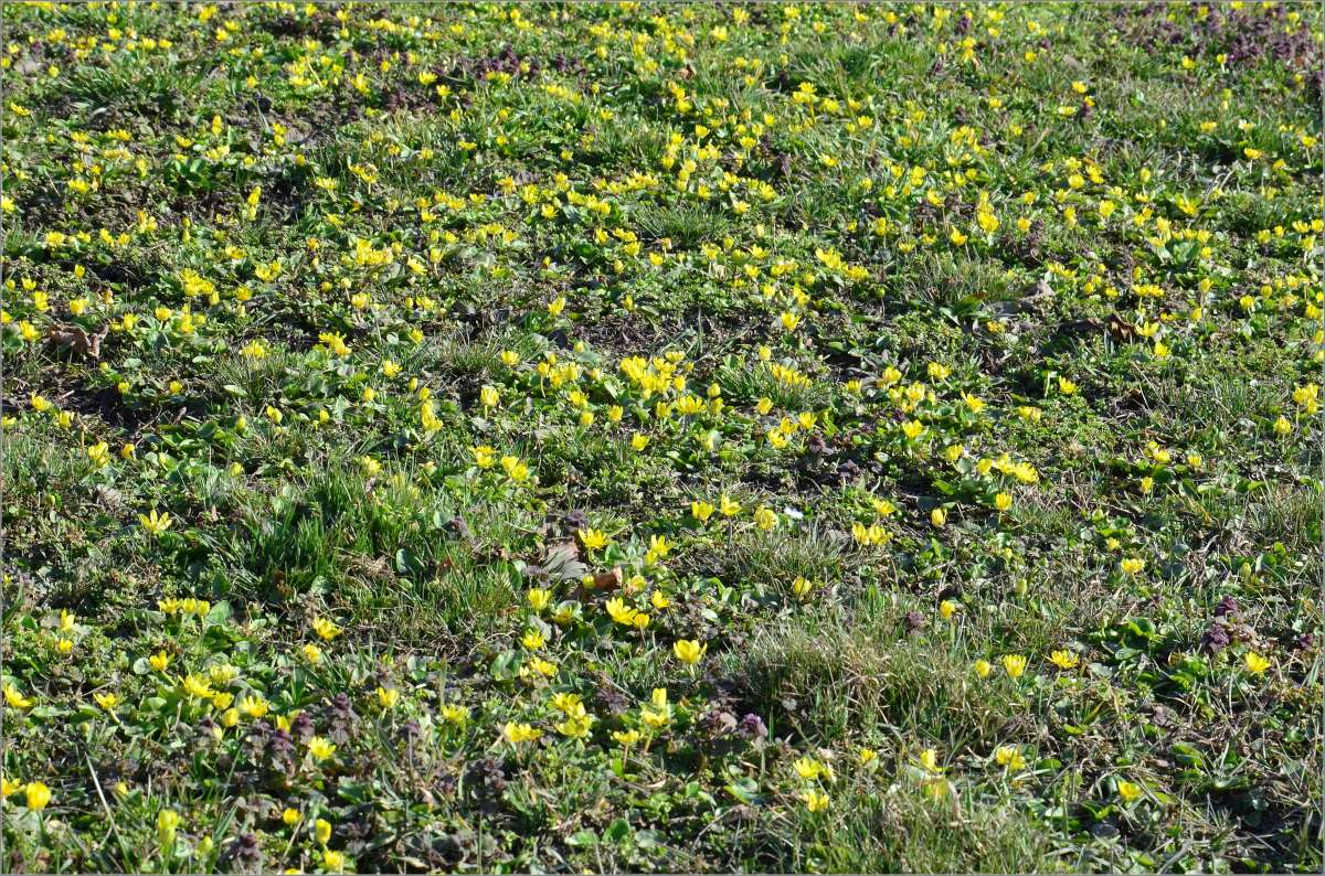 ����� ���� ������ ����� ����  �� PhotoGeek.ru #������ ��� ������� #����� �������������� #���������