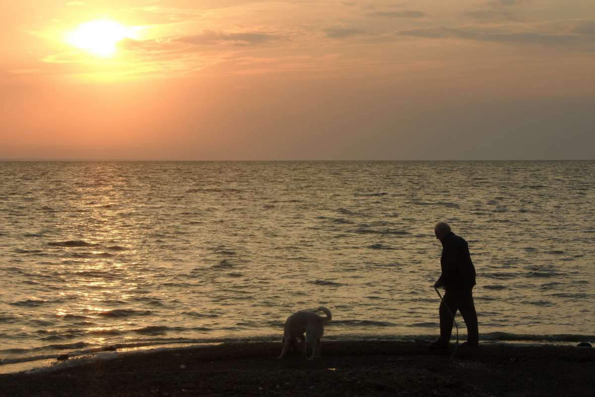 ������ ������ ����� ����  �� PhotoGeek.ru #�������� ����������