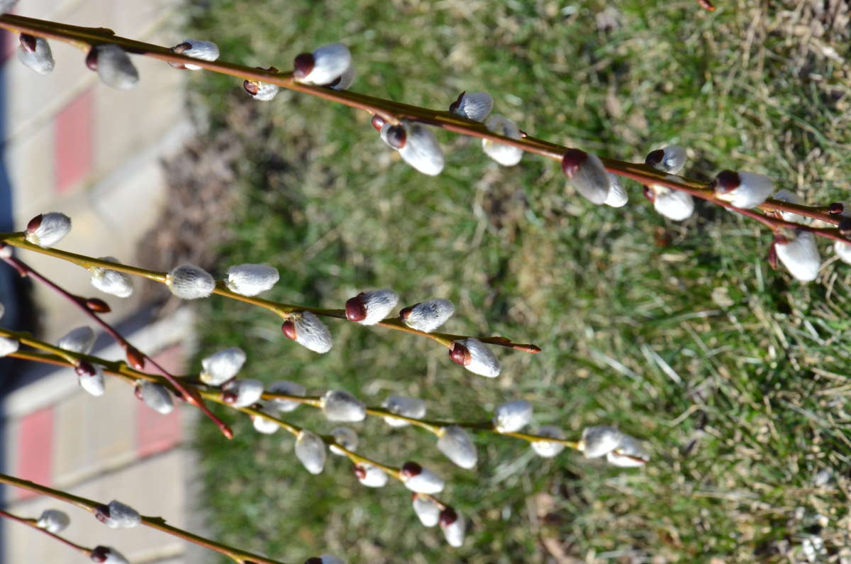 ... ����� ����  �� PhotoGeek.ru #������ ��� ������� #����� �������������� #���������