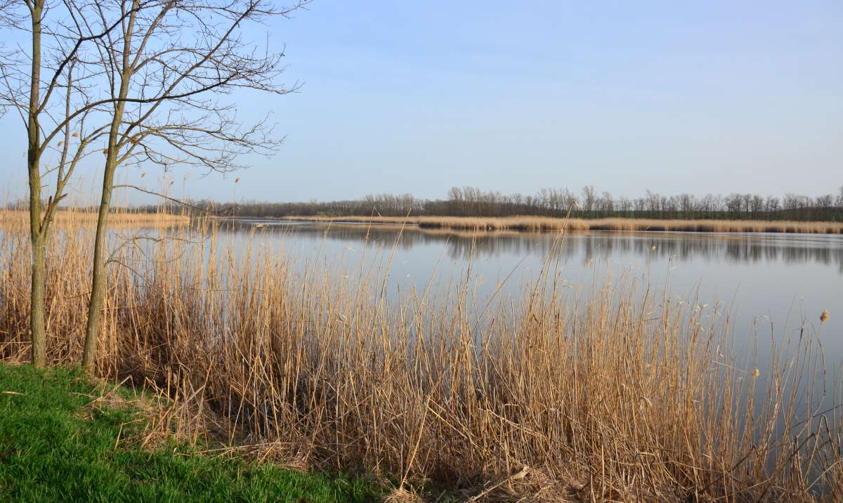 ���� ����� ����� ����  �� PhotoGeek.ru #������ ��� �������