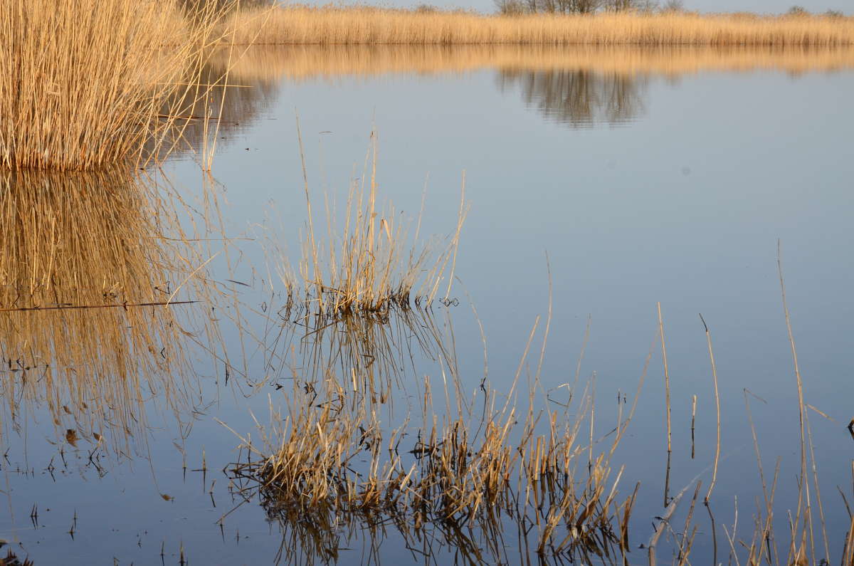 ���� ����� ����� ����  �� PhotoGeek.ru #������ ��� ������� #���������