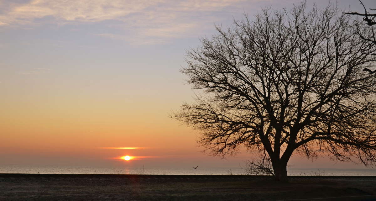 ... ����� ����  �� PhotoGeek.ru #������ ��� �������