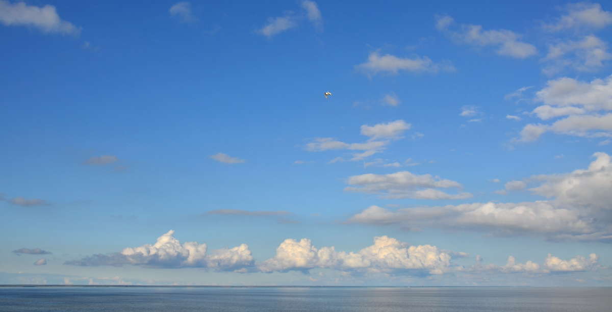 ������ ����� ����  �� PhotoGeek.ru #������ ��� �������