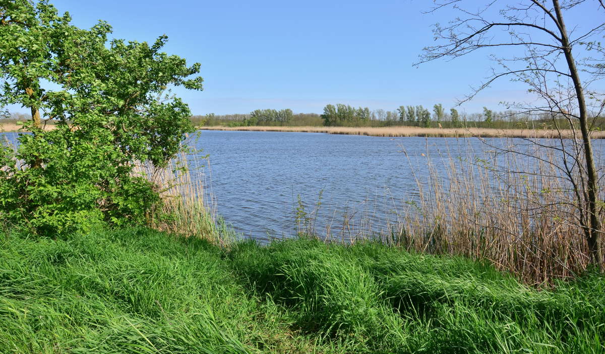 ������ �� �����, ������, ������! ����� ����  �� PhotoGeek.ru #������ ��� �������