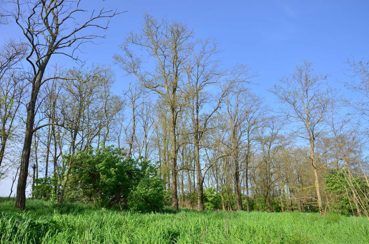 ������ ���� ����� ����� ����  �� PhotoGeek.ru #������ ��� �������