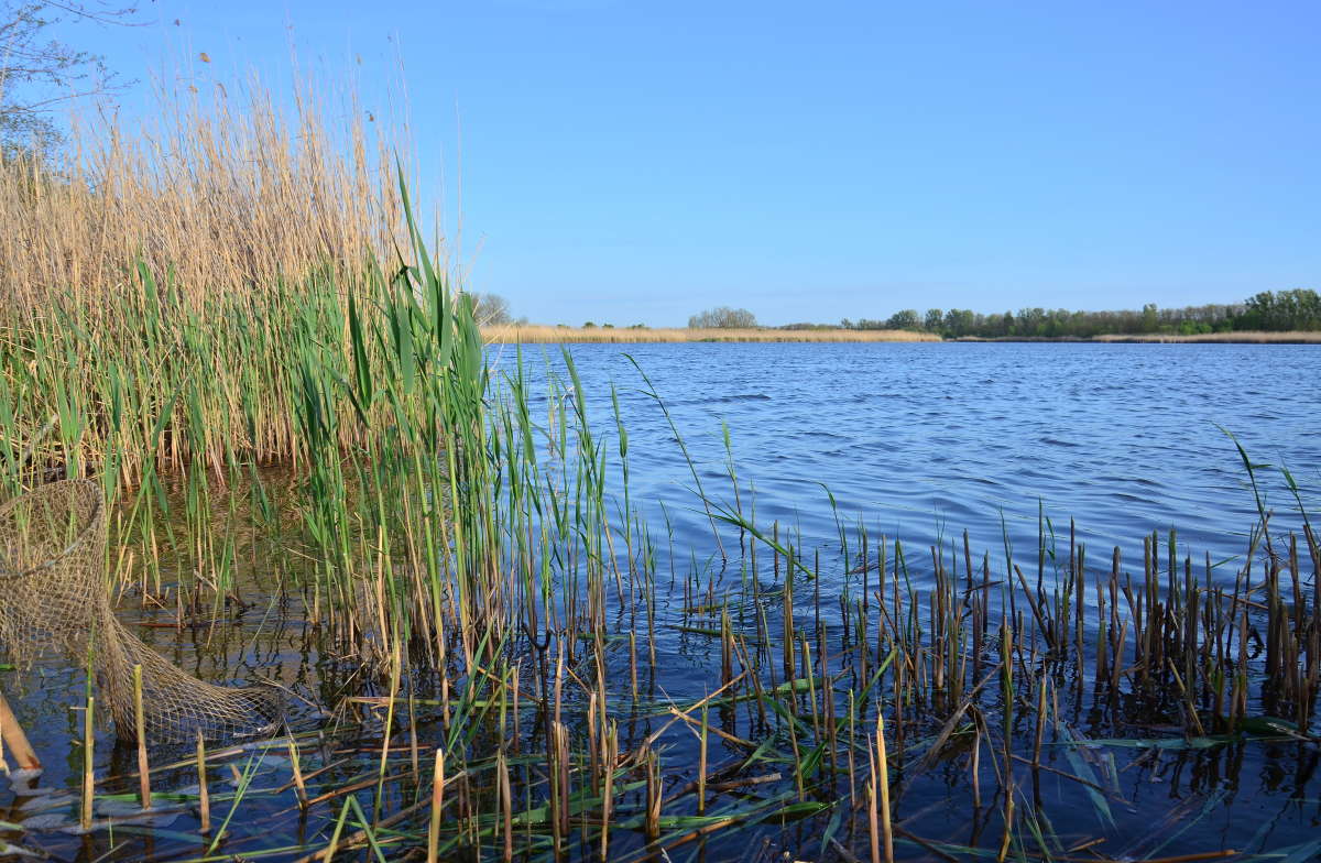 ���� ����� ����� ����  �� PhotoGeek.ru #������ ��� �������