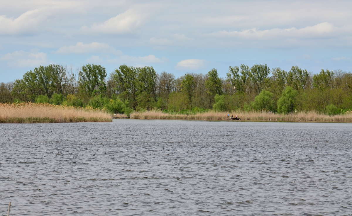 ������� �� ���� ����� ����� ����  �� PhotoGeek.ru #������ ��� �������