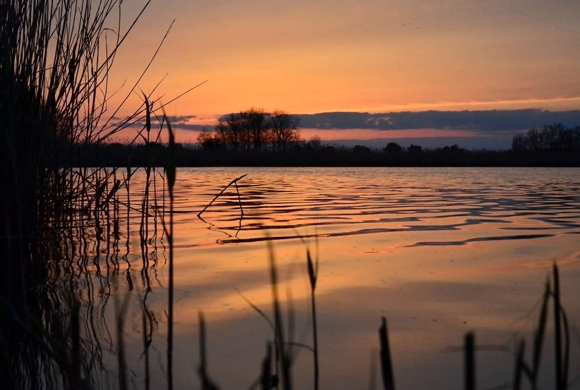 вхождение в ночь / вхождение в ночь / Фотография на PhotoGeek.ru