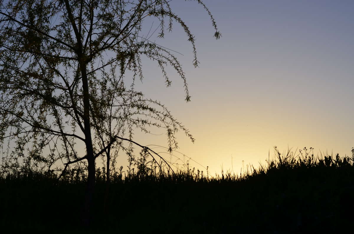 ����� ����� ����  �� PhotoGeek.ru #������ ��� �������