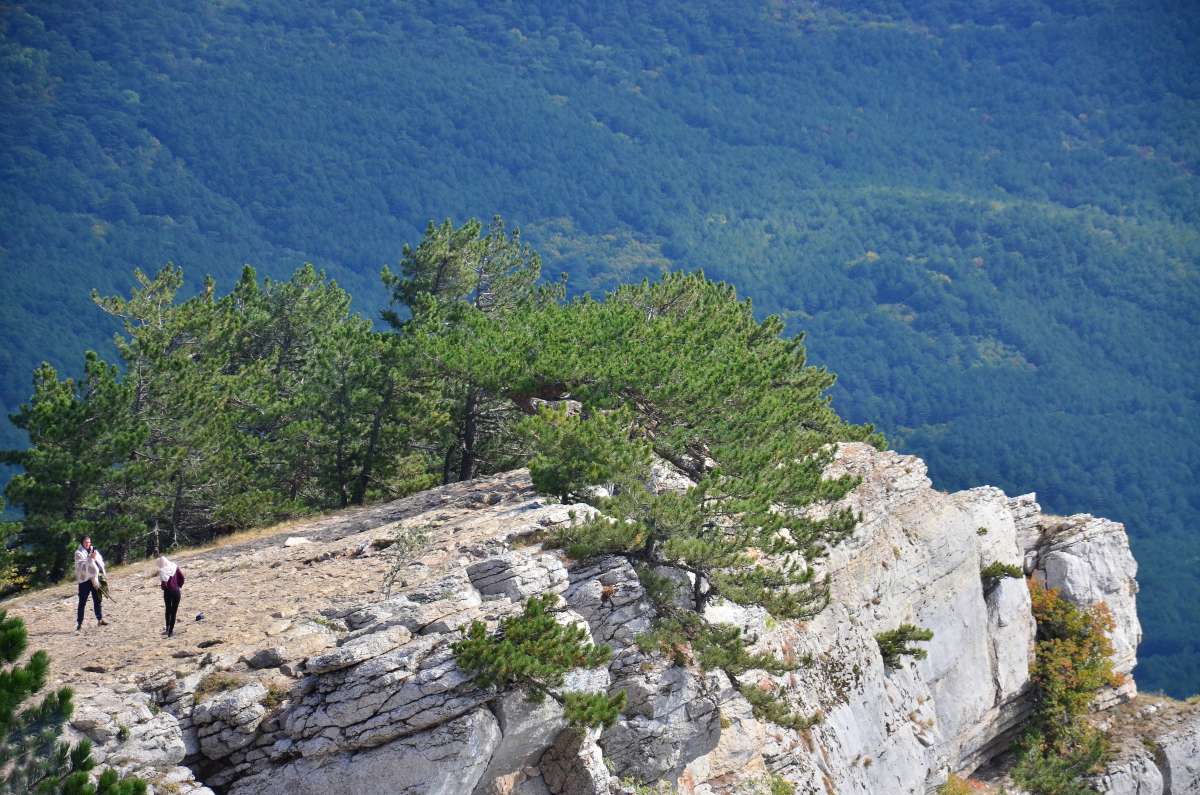 ������� ����� ����� ����  �� PhotoGeek.ru #������ ��� �������