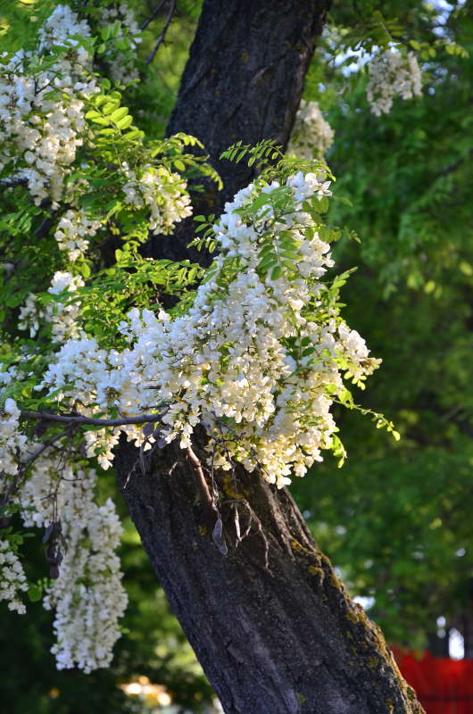 ������ � ����� ����� ����  �� PhotoGeek.ru #������ ��� ������� #����� �������������� #���������