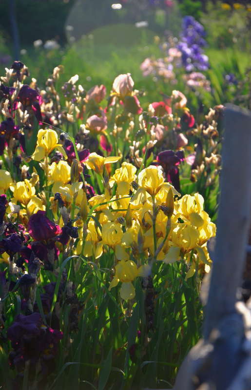 � ������ ����� ����  �� PhotoGeek.ru #������ ��� ������� #����� �������������� #���������