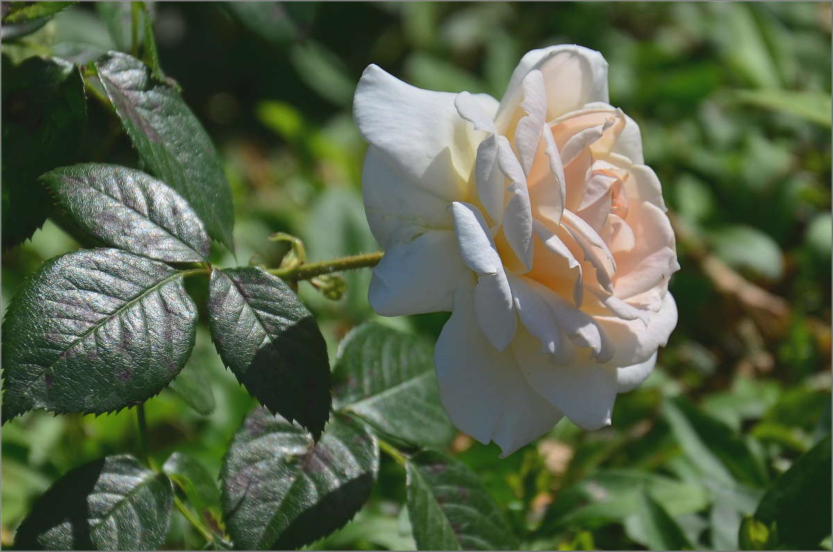 � ����� ����� ����  �� PhotoGeek.ru #������ ��� ������� #����� �������������� #���������