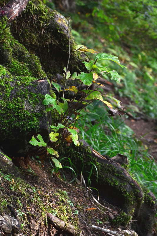 ������� � ����� ����� ����  �� PhotoGeek.ru #������ ��� ������� #����� �������������� #���������