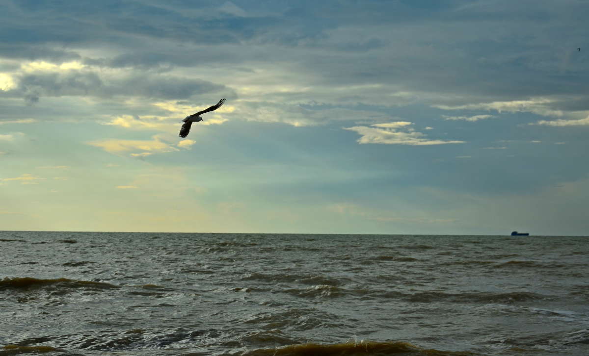 ... ����� ����  �� PhotoGeek.ru #������ ��� �������