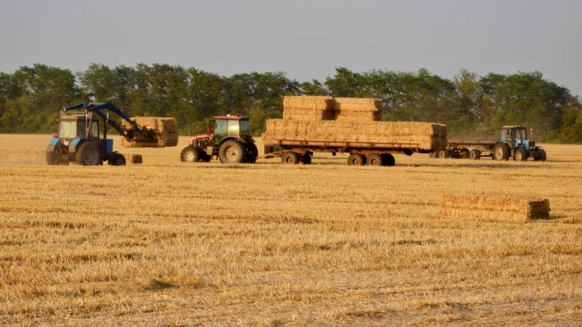 �� ����� ������ ����� ����  �� PhotoGeek.ru #������ ��� ������� #��������