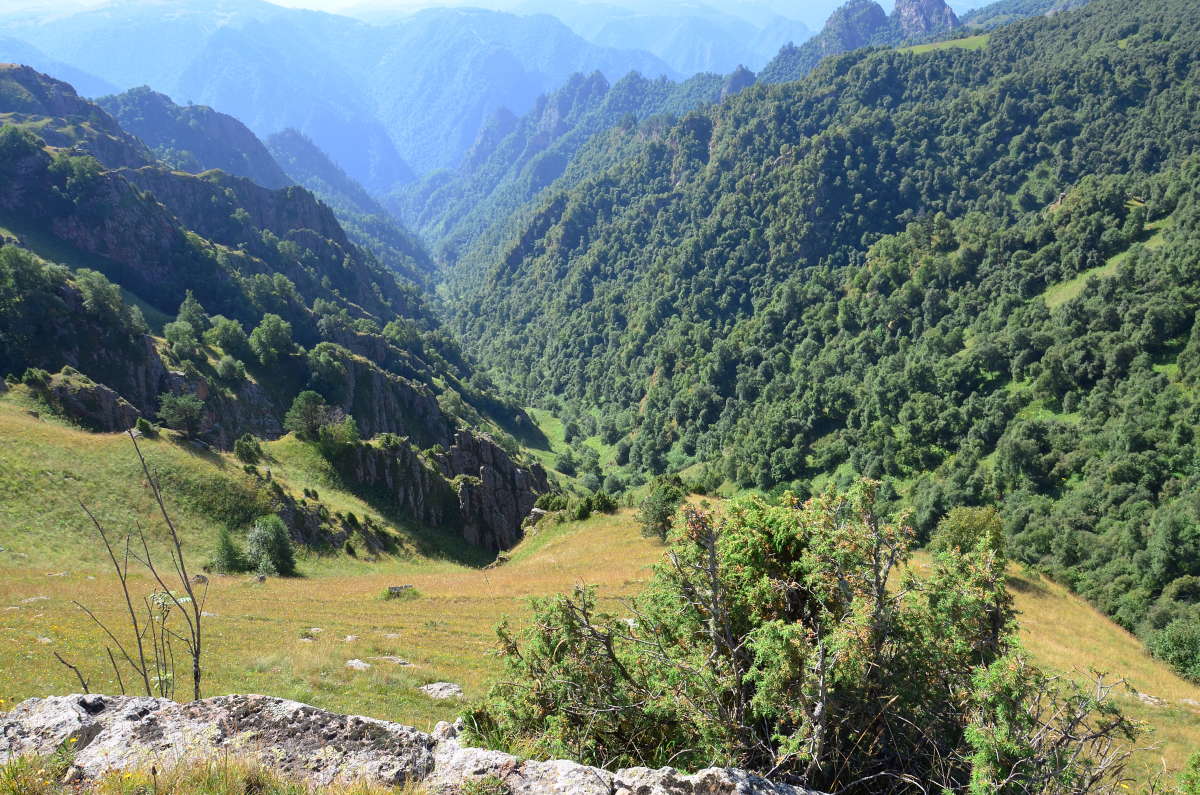 � ����� ������� ����� ����  �� PhotoGeek.ru #������ ��� �������