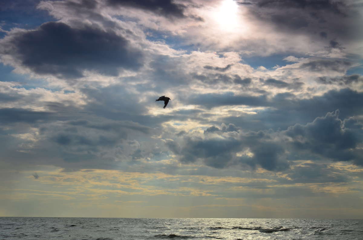 ��� ����� �������� ���� ����� ����  �� PhotoGeek.ru #������ ��� �������