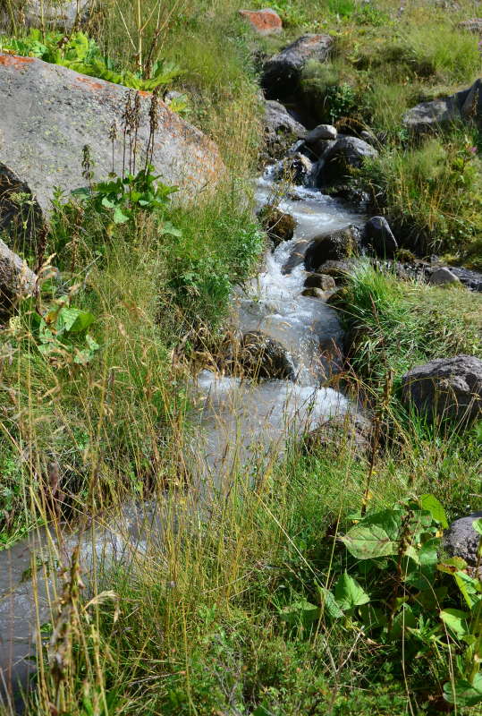 ����� ����� ����  �� PhotoGeek.ru #������ ��� �������