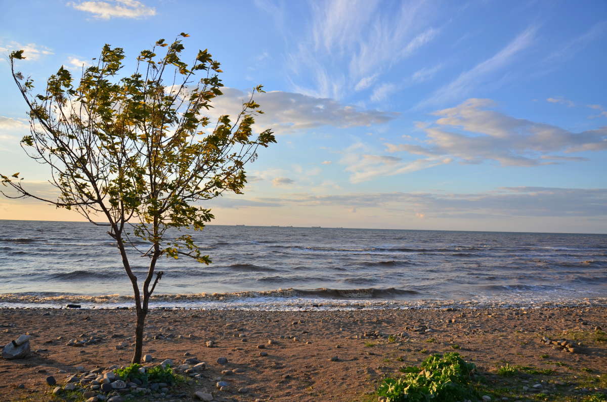 �������� ����� ����  �� PhotoGeek.ru #������ ��� �������