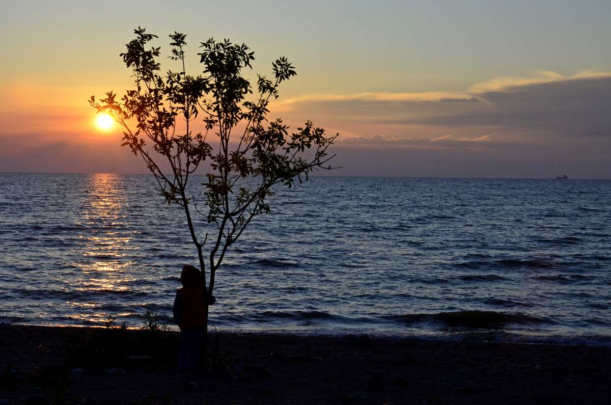 ... ����� ����  �� PhotoGeek.ru #������ ��� �������