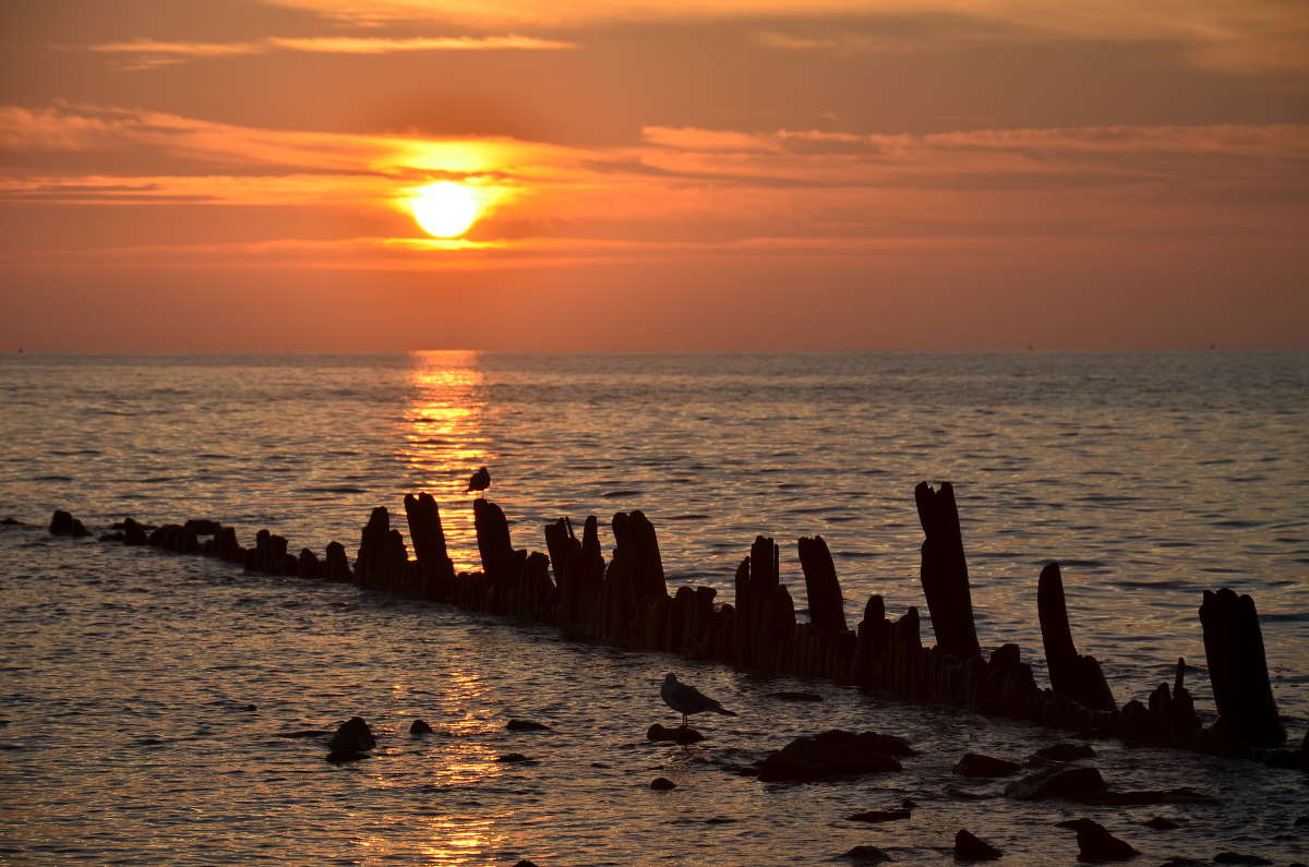 ... ����� ����  �� PhotoGeek.ru #������ ��� �������