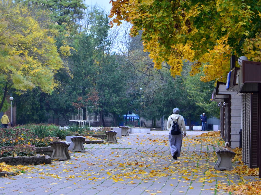 ������ ������� ���� ����� ����  �� PhotoGeek.ru #������ ��� �������