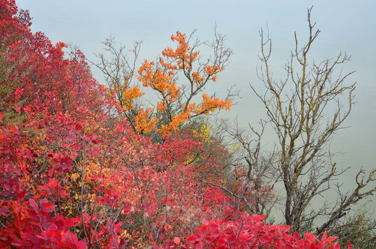 ��� ������� ����� ����  �� PhotoGeek.ru #������ ��� �������