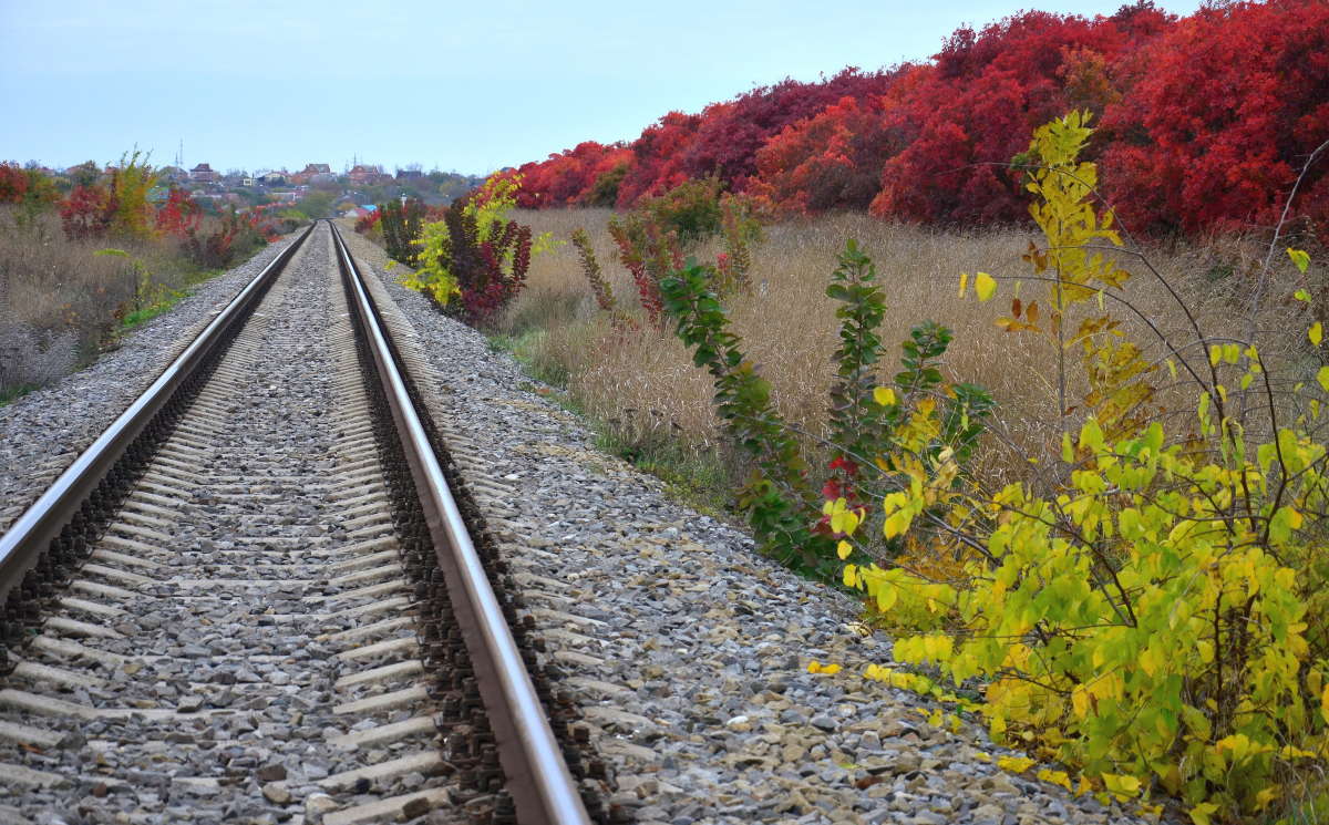 �� ������ ����� ����� ����  �� PhotoGeek.ru #������ ��� �������