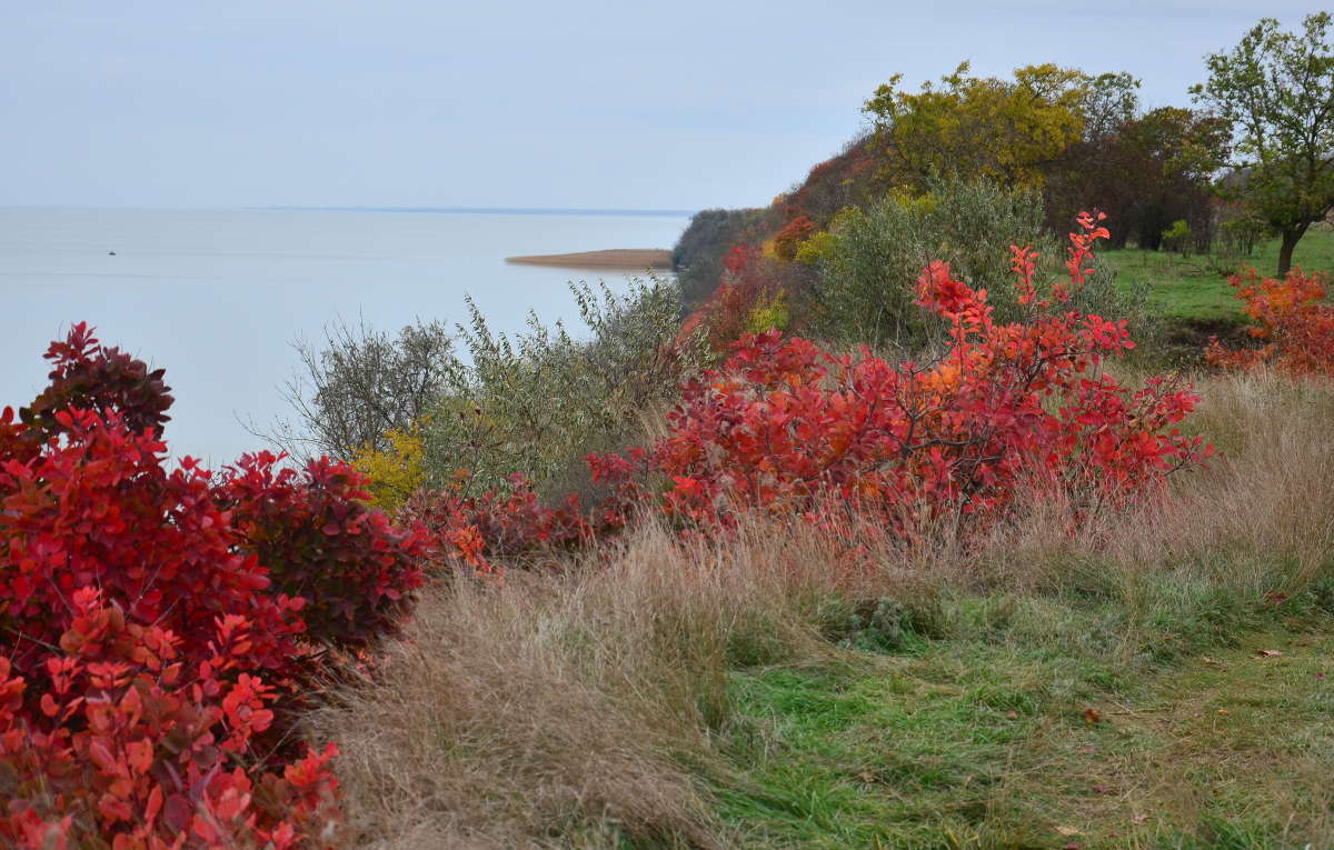 � ������� ������� ����� ����  �� PhotoGeek.ru #������ ��� �������