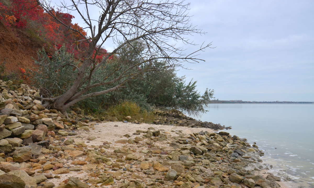 ����� ������ ����� ����  �� PhotoGeek.ru #������ ��� �������