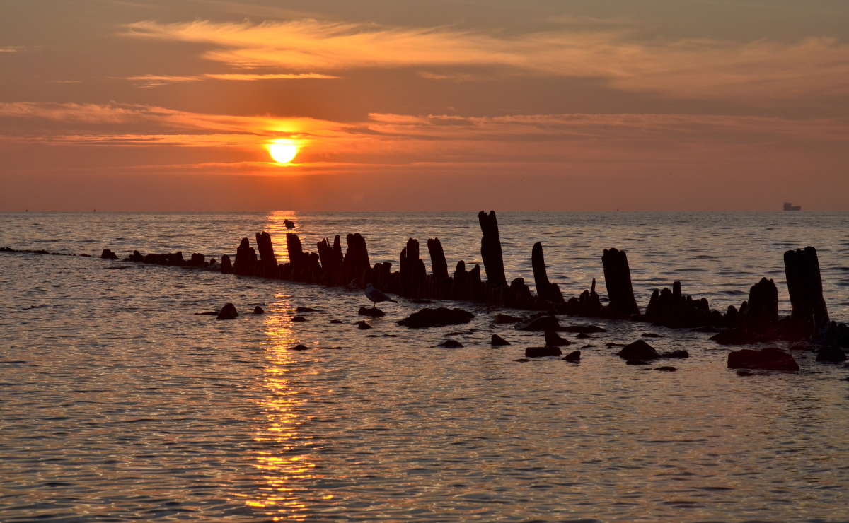 ... ����� ����  �� PhotoGeek.ru #������ ��� �������