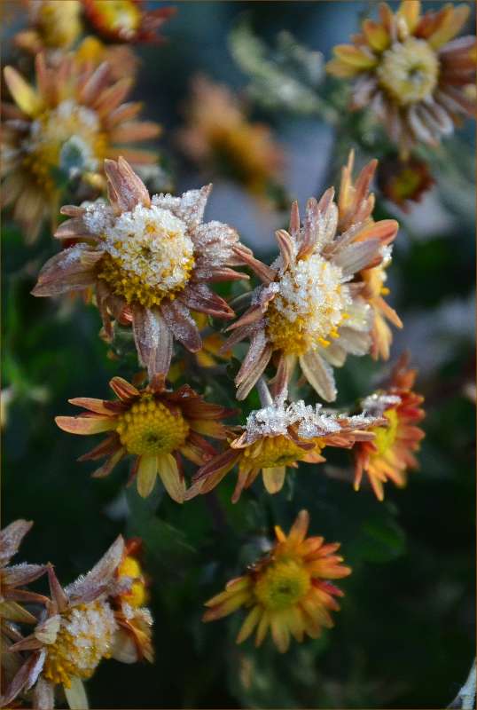 ... ����� ����  �� PhotoGeek.ru #������ ��� �������