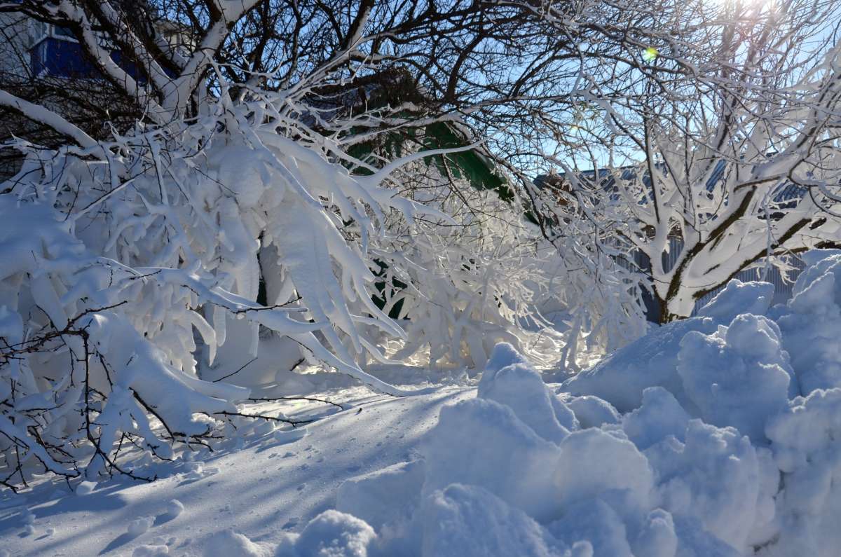 ������ ����� ����  �� PhotoGeek.ru #������ ��� �������