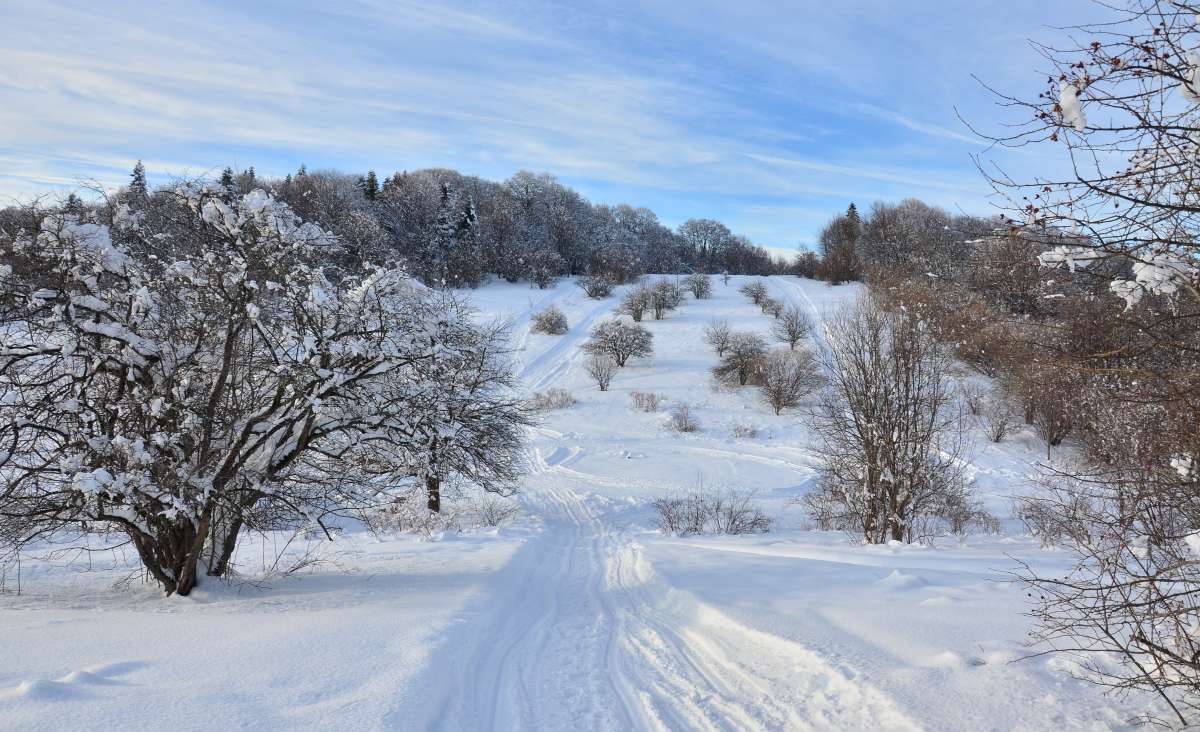 ... ����� ����  �� PhotoGeek.ru #������ ��� �������