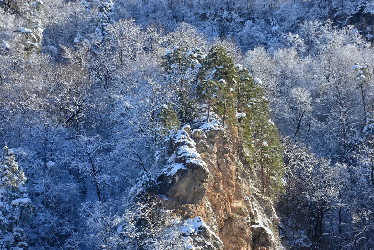 ... ����� ����  �� PhotoGeek.ru #������ ��� �������