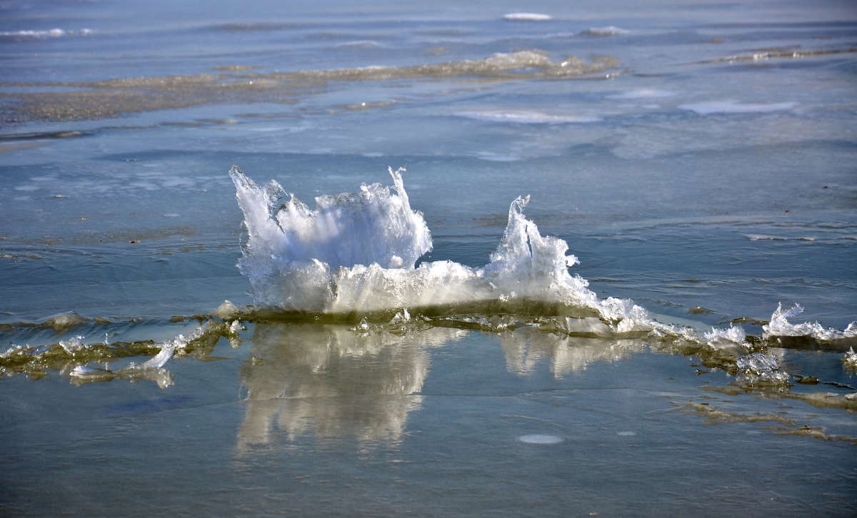 �������� ���� ����� ����  �� PhotoGeek.ru #�������� #������ ��� �������