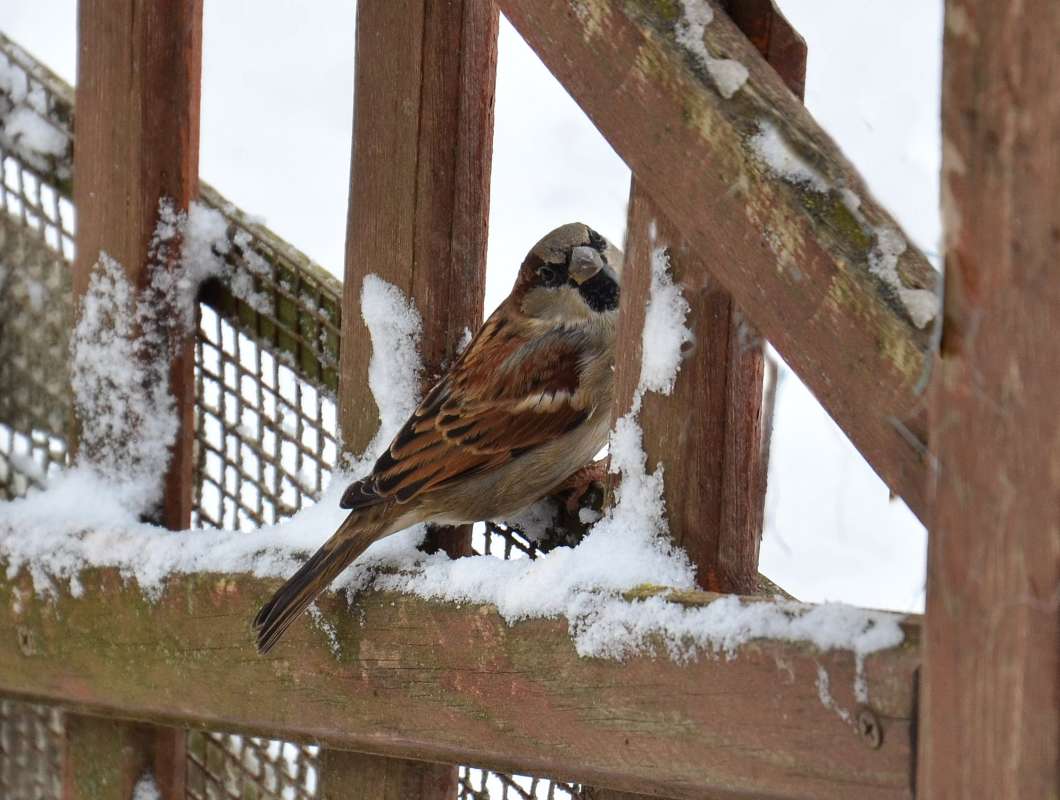 �������� ����� ����  �� PhotoGeek.ru #�������� ��� #����� ��� ��� ���������