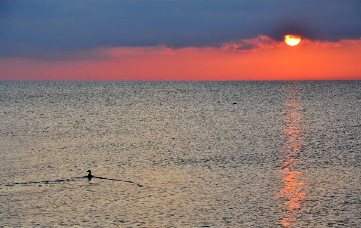 ... ����� ����  �� PhotoGeek.ru #������ ��� ������� #���������