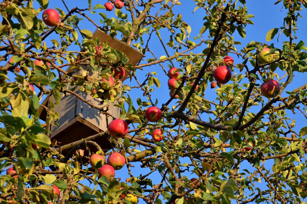 � ������ ���� ����� ����  �� PhotoGeek.ru #������ ��� ������� #����� �������������� #���������