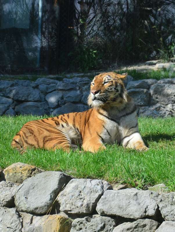 ��������� �������� ����� ����  �� PhotoGeek.ru #�������� ��� #����� ��� ��� ���������