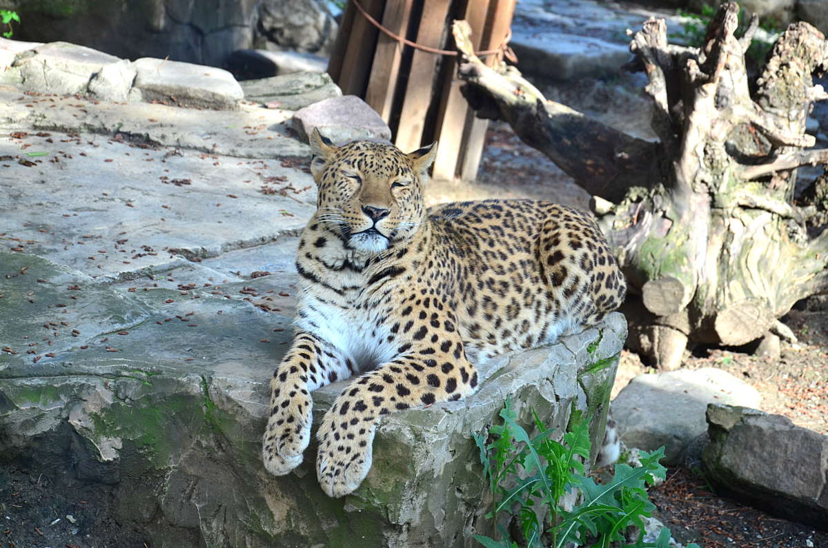 ��������� �������� ����� ����  �� PhotoGeek.ru #�������� ��� #����� ��� ��� ���������