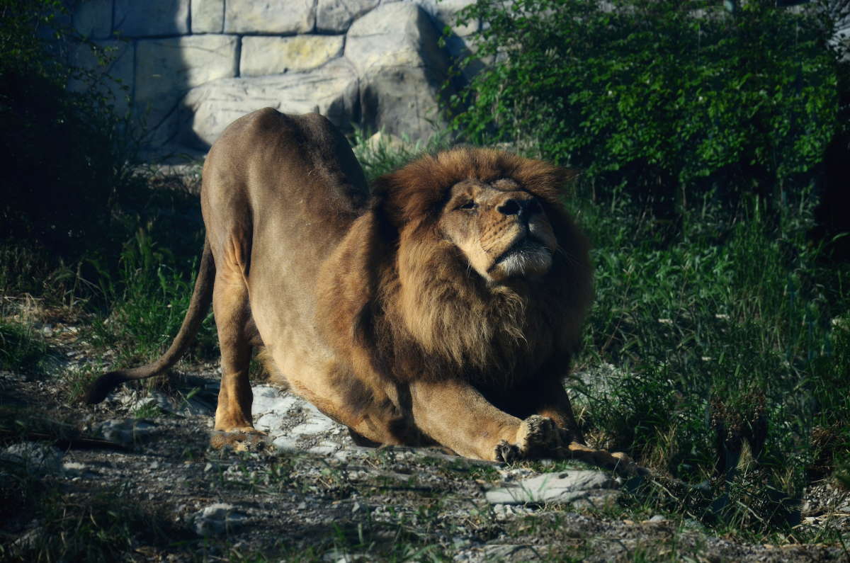 ��������� �������� ����� ����  �� PhotoGeek.ru #�������� ��� #����� ��� ��� ���������