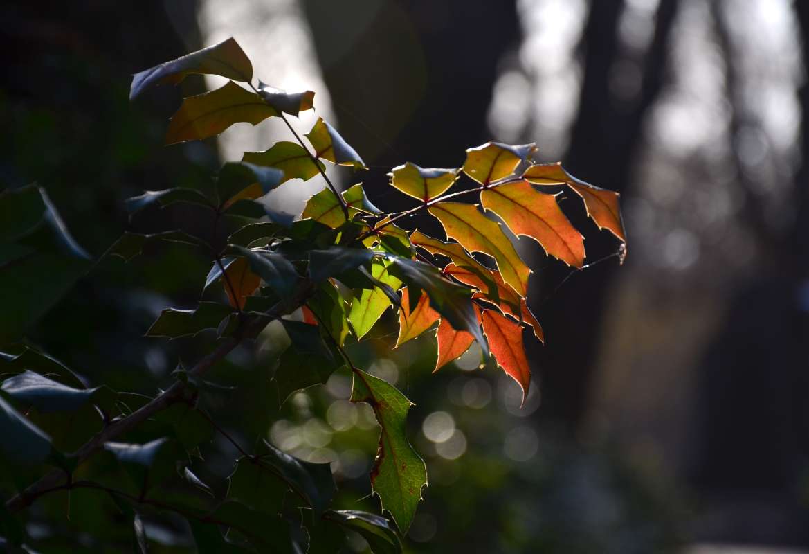 � ����� ������ ����� ����  �� PhotoGeek.ru #������ ��� ������� #����� �������������� #���������