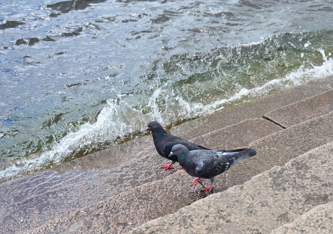 �� �������� ����� ���� ����� ����  �� PhotoGeek.ru #�������� ��� #����������� #����� ��� ��� ���������