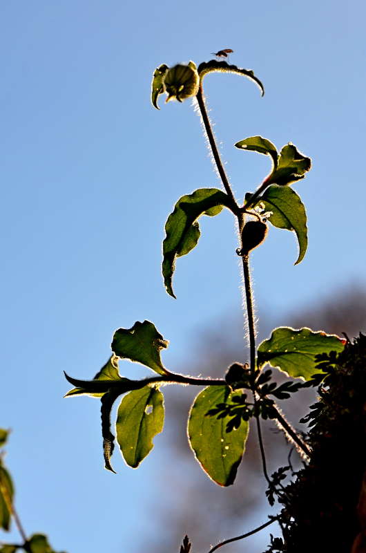 ����� ���������� ����� ����  �� PhotoGeek.ru #����� #�������� ��� #������ ��� ������� #����� �������������� #��������� #���������